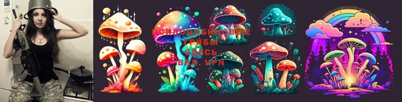 Галлюциногенные грибы MAGIC MUSHROOMS  Фролово 